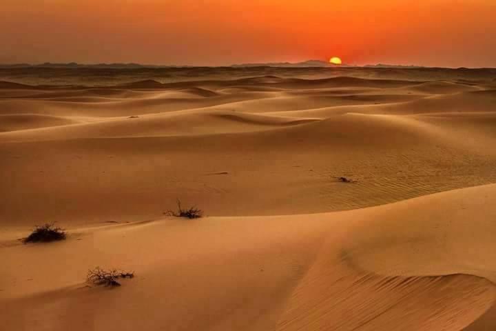 Camp Sahara Holidays M’hamid El Ghizlane Exterior foto