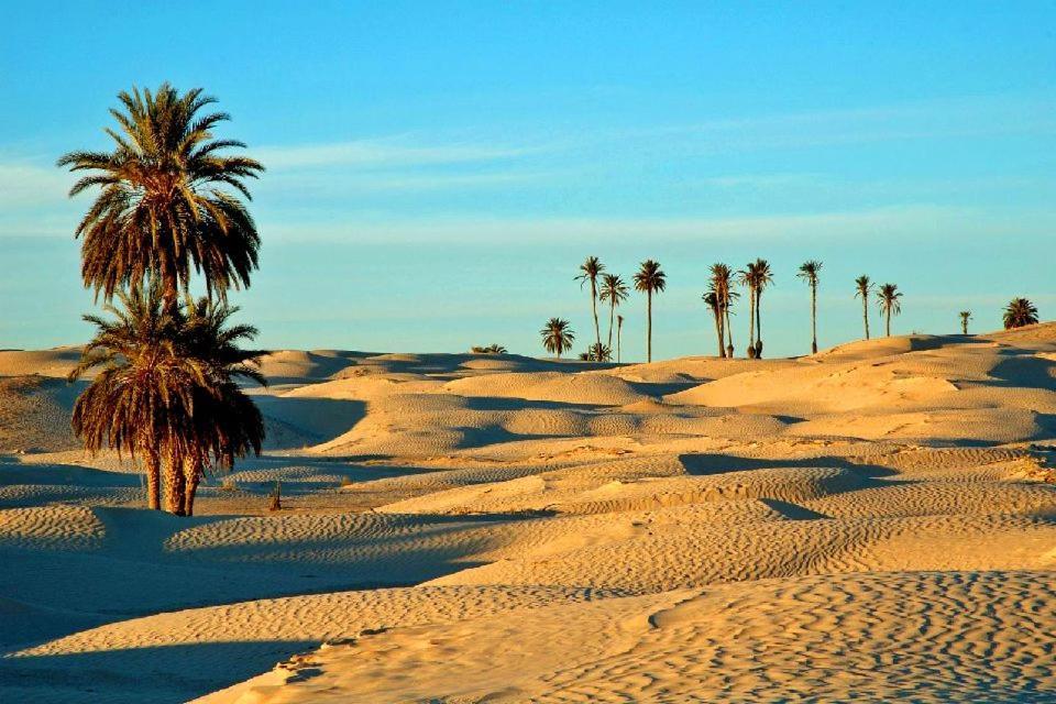 Camp Sahara Holidays M’hamid El Ghizlane Exterior foto