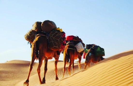 Camp Sahara Holidays M’hamid El Ghizlane Exterior foto