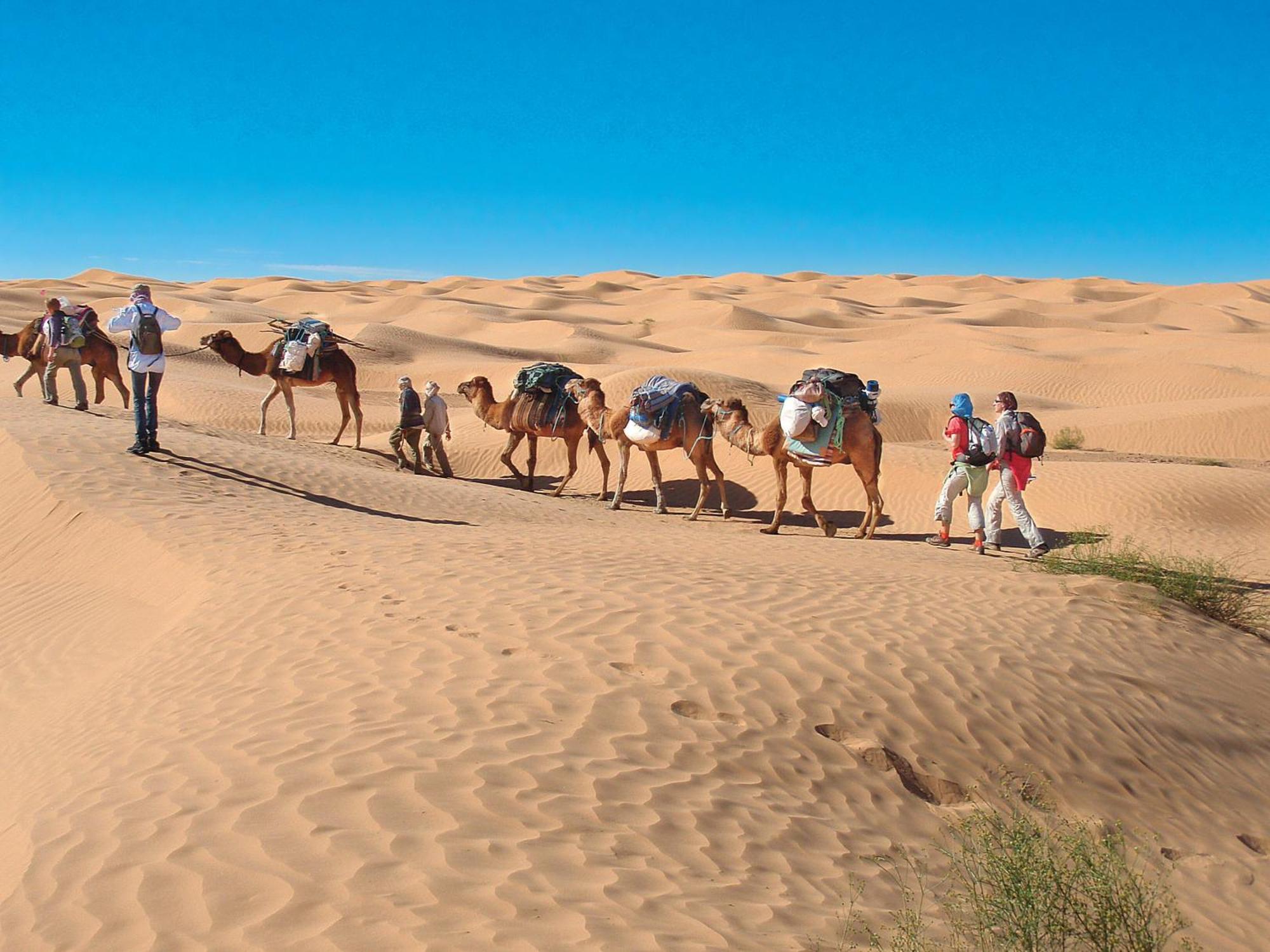 Camp Sahara Holidays M’hamid El Ghizlane Exterior foto