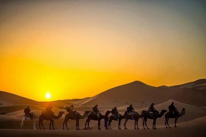 Camp Sahara Holidays M’hamid El Ghizlane Exterior foto