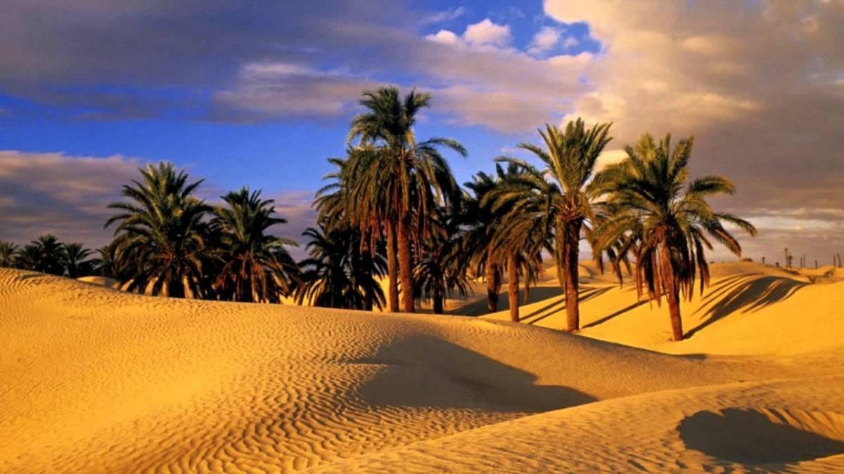 Camp Sahara Holidays M’hamid El Ghizlane Exterior foto