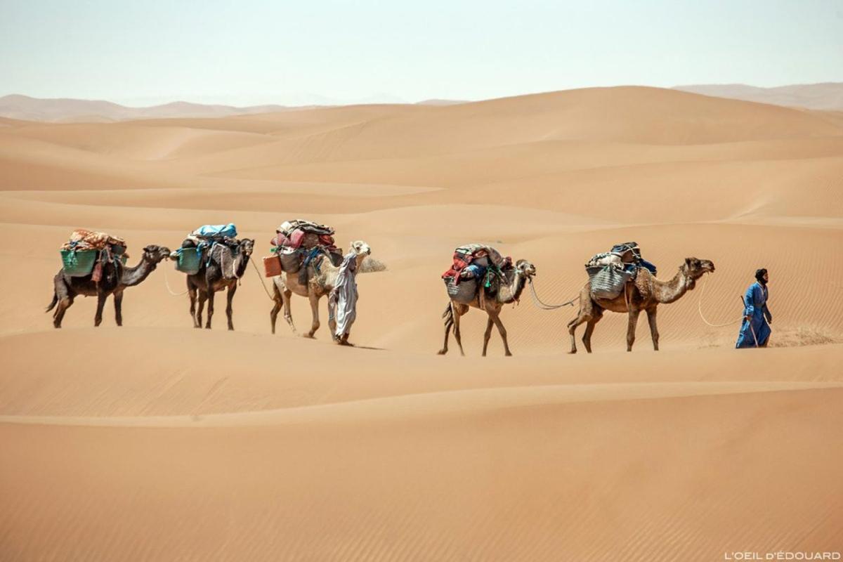 Camp Sahara Holidays M’hamid El Ghizlane Exterior foto